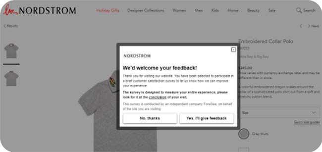 Collect and Use Feedback (Nordstrom)